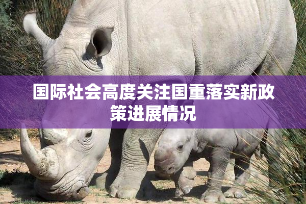 国际社会高度关注国重落实新政策进展情况