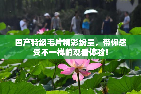 国产特级毛片精彩纷呈，带你感受不一样的观看体验！