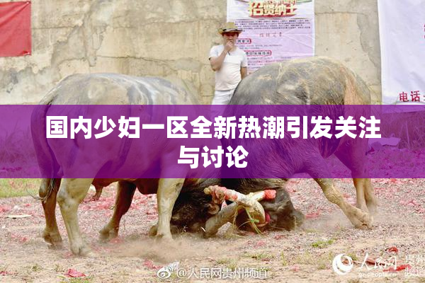 国内少妇一区全新热潮引发关注与讨论