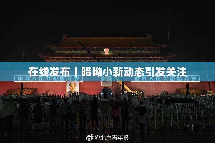 在线发布丨暗呦小新动态引发关注
