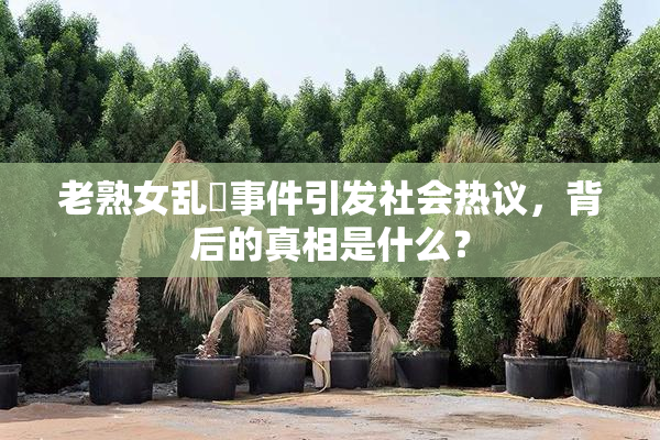 老熟女乱婬事件引发社会热议，背后的真相是什么？