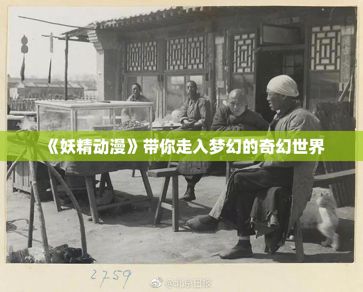 《妖精动漫》带你走入梦幻的奇幻世界