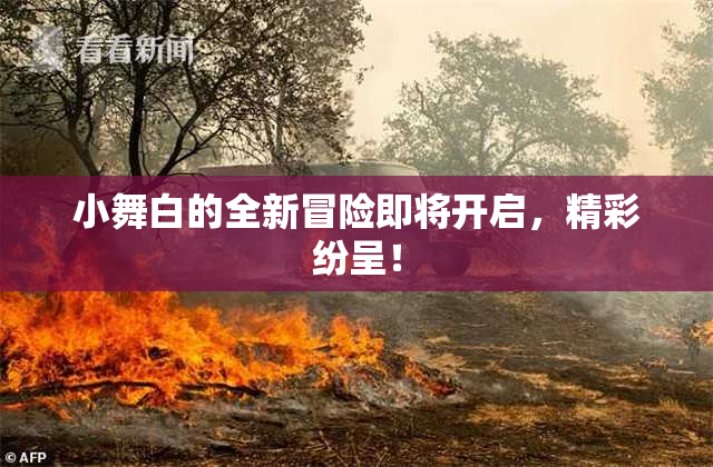 小舞白的全新冒险即将开启，精彩纷呈！