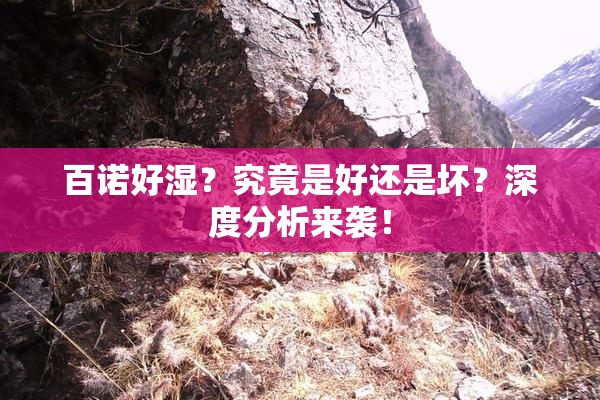 百诺好湿？究竟是好还是坏？深度分析来袭！