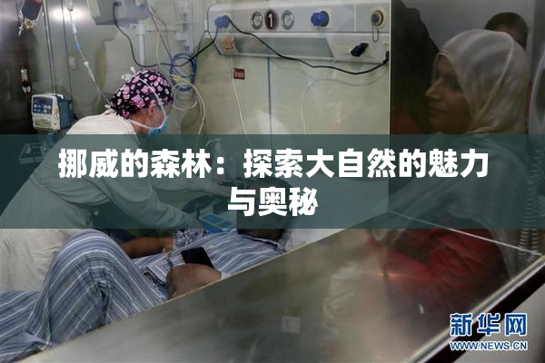 挪威的森林：探索大自然的魅力与奥秘