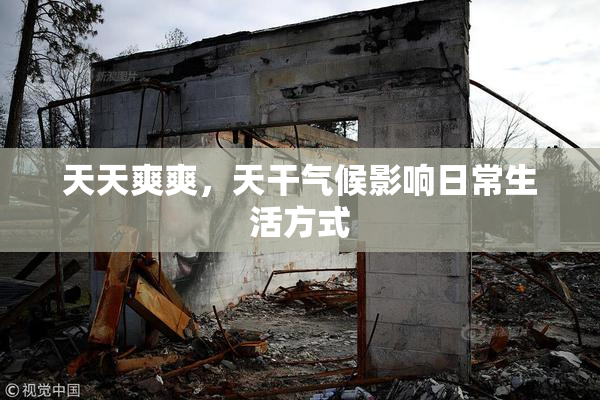 天天爽爽，天干气候影响日常生活方式