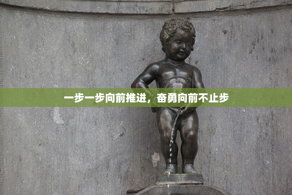 一步一步向前推进，奋勇向前不止步