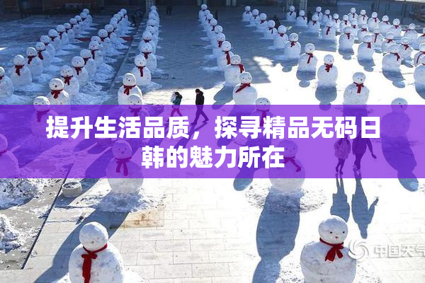 提升生活品质，探寻精品无码日韩的魅力所在