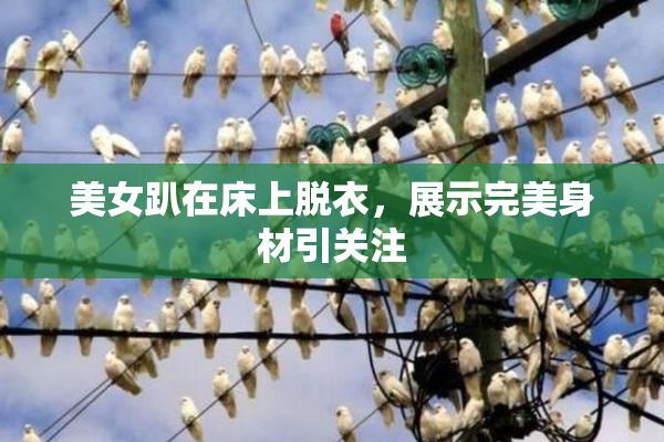 美女趴在床上脱衣，展示完美身材引关注