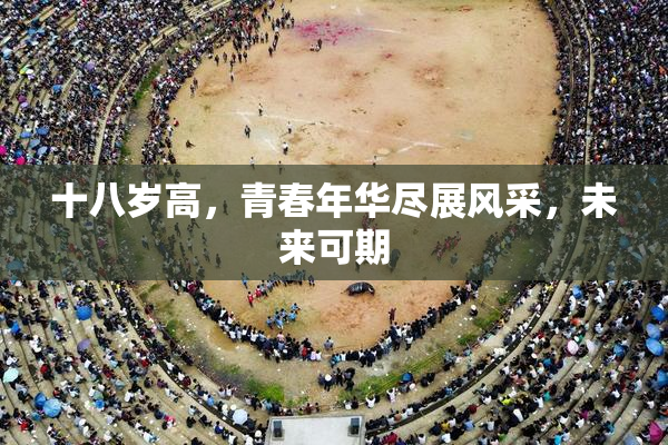 十八岁高，青春年华尽展风采，未来可期
