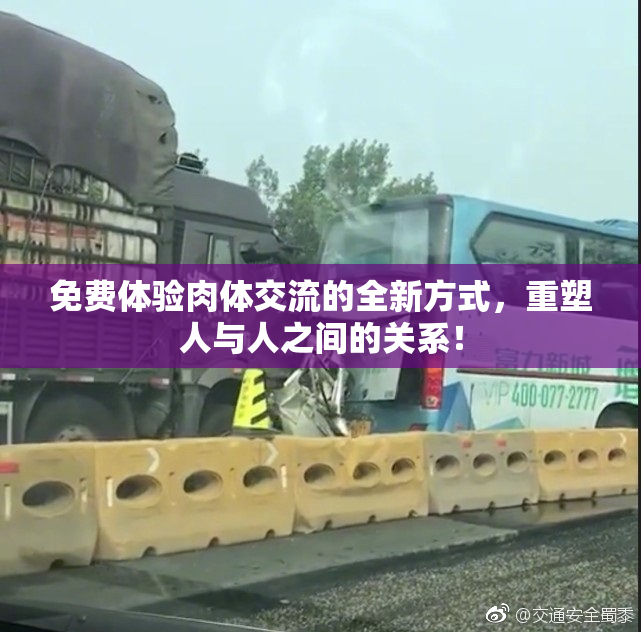 免费体验肉体交流的全新方式，重塑人与人之间的关系！