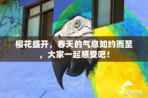 樱花盛开，春天的气息如约而至，大家一起感受吧！
