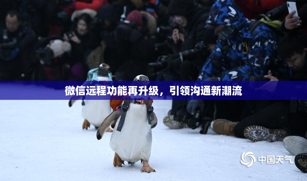 微信远程功能再升级，引领沟通新潮流