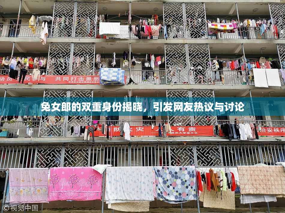 兔女郎的双重身份揭晓，引发网友热议与讨论