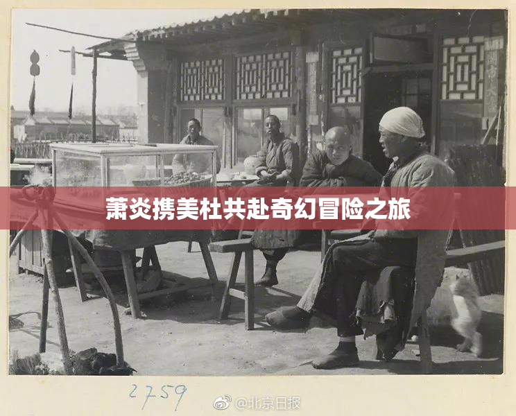 萧炎携美杜共赴奇幻冒险之旅