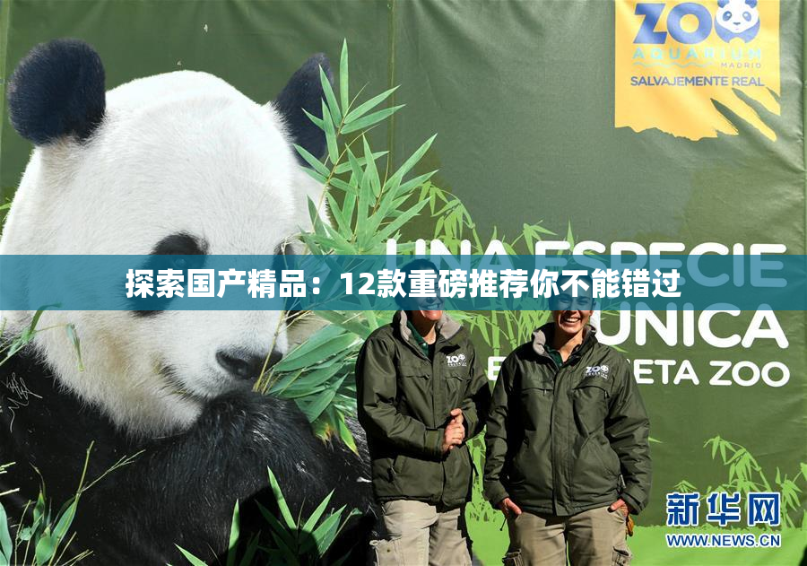 探索国产精品：12款重磅推荐你不能错过