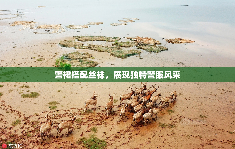警裙搭配丝袜，展现独特警服风采