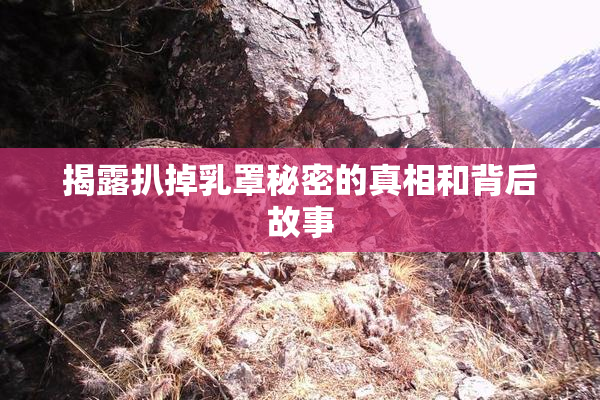 揭露扒掉乳罩秘密的真相和背后故事