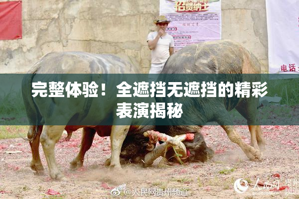 完整体验！全遮挡无遮挡的精彩表演揭秘
