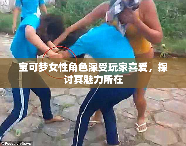 宝可梦女性角色深受玩家喜爱，探讨其魅力所在