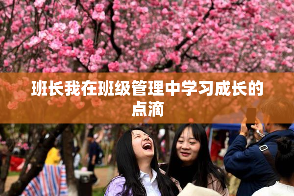 班长我在班级管理中学习成长的点滴