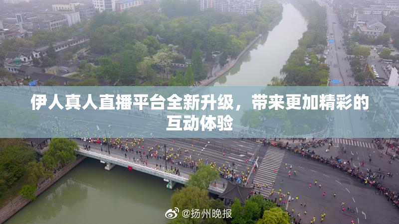 伊人真人直播平台全新升级，带来更加精彩的互动体验