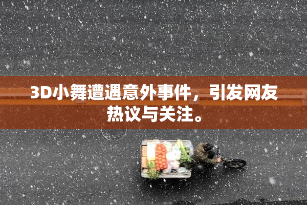 3D小舞遭遇意外事件，引发网友热议与关注。