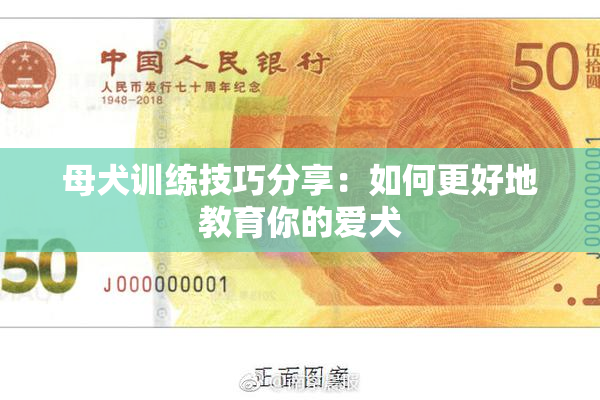 母犬训练技巧分享：如何更好地教育你的爱犬
