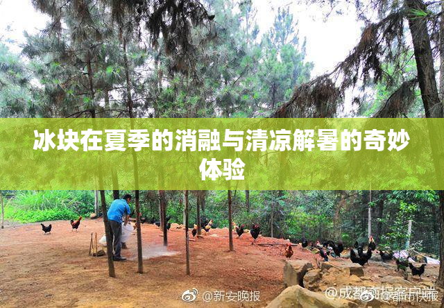 冰块在夏季的消融与清凉解暑的奇妙体验