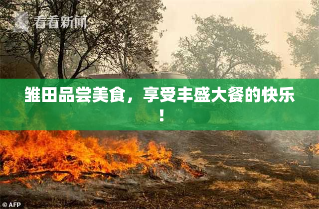 雏田品尝美食，享受丰盛大餐的快乐！