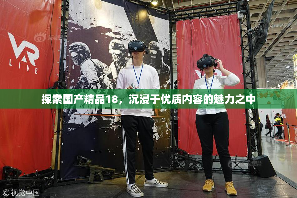 探索国产精品18，沉浸于优质内容的魅力之中