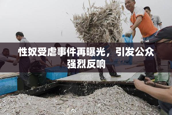 性奴受虐事件再曝光，引发公众强烈反响