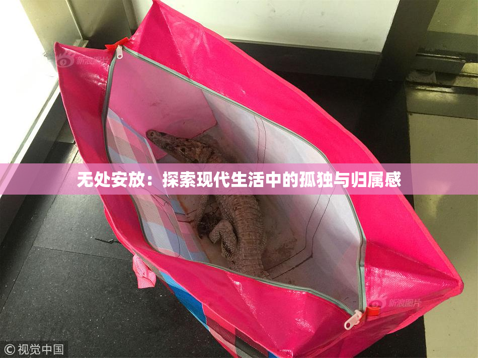 无处安放：探索现代生活中的孤独与归属感