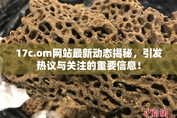 17c.om网站最新动态揭秘，引发热议与关注的重要信息！