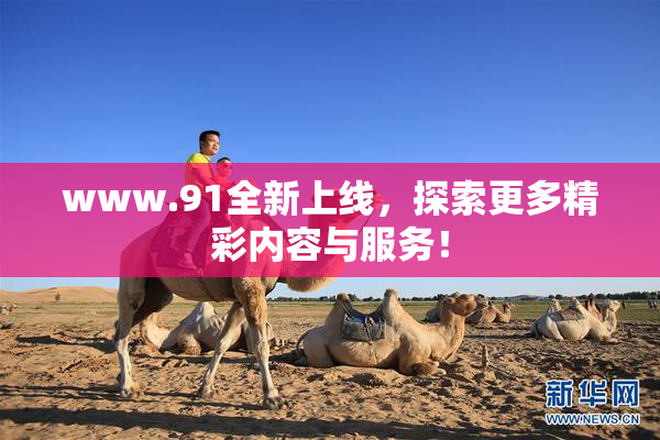 www.91全新上线，探索更多精彩内容与服务！
