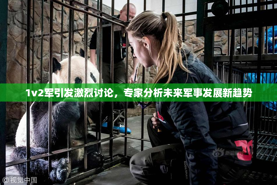 1v2军引发激烈讨论，专家分析未来军事发展新趋势