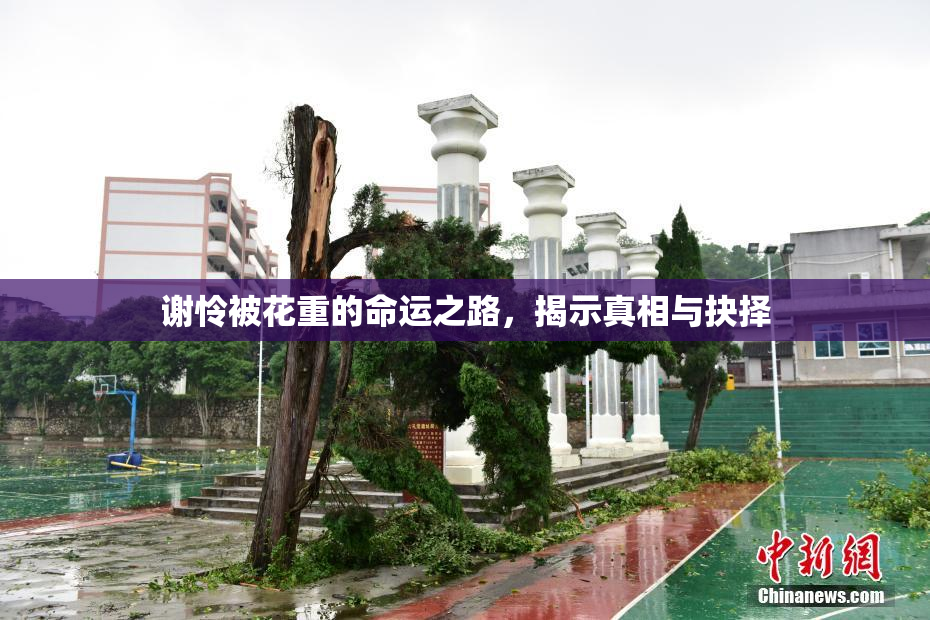谢怜被花重的命运之路，揭示真相与抉择