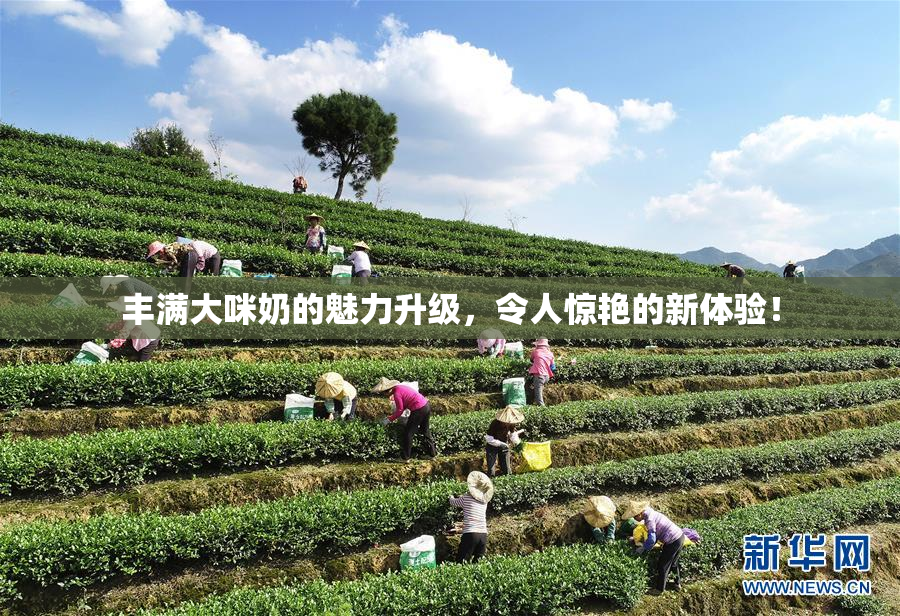 丰满大咪奶的魅力升级，令人惊艳的新体验！