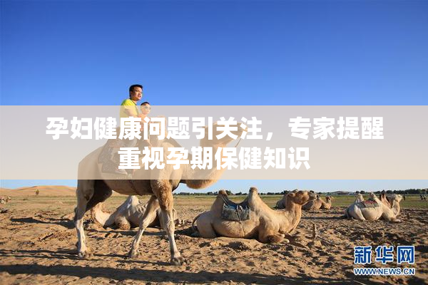 孕妇健康问题引关注，专家提醒重视孕期保健知识
