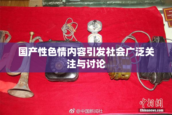 国产性色情内容引发社会广泛关注与讨论