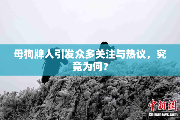 母狗牌人引发众多关注与热议，究竟为何？