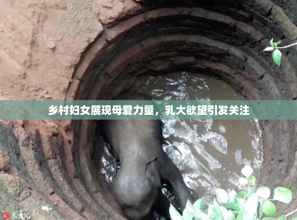 乡村妇女展现母爱力量，乳大欲望引发关注