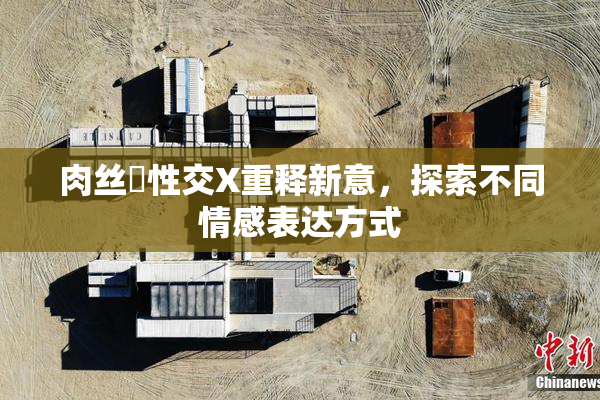肉丝祙性交X重释新意，探索不同情感表达方式