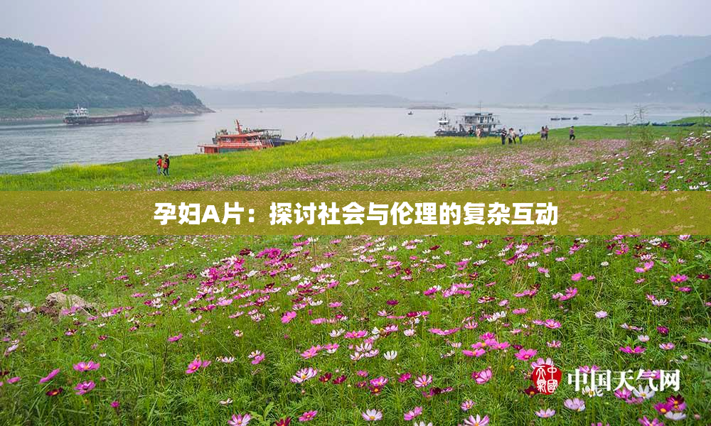 孕妇A片：探讨社会与伦理的复杂互动
