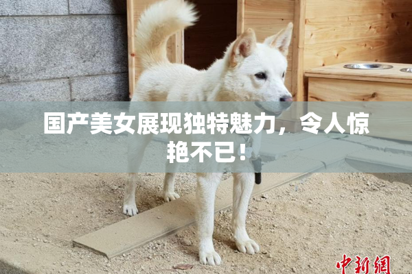 国产美女展现独特魅力，令人惊艳不已！