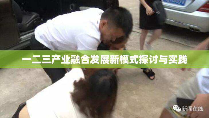 一二三产业融合发展新模式探讨与实践