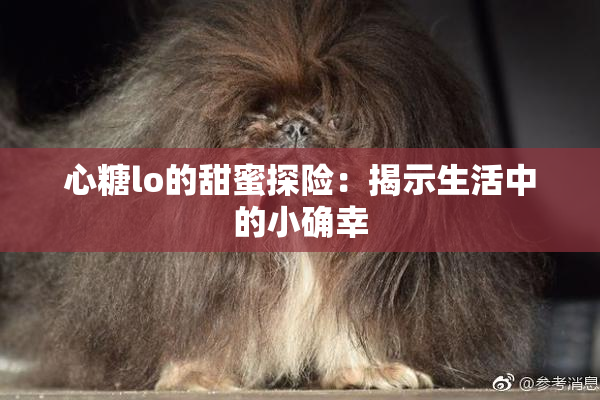 心糖lo的甜蜜探险：揭示生活中的小确幸