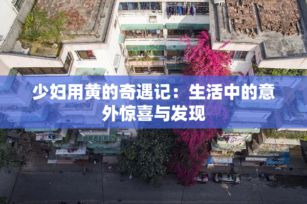 少妇用黄的奇遇记：生活中的意外惊喜与发现
