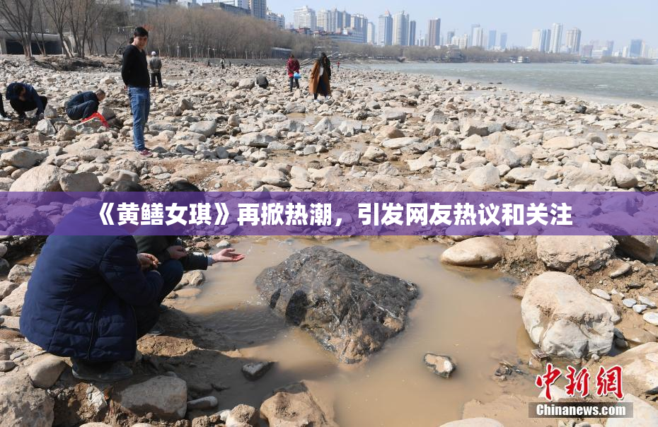 《黄鳝女琪》再掀热潮，引发网友热议和关注