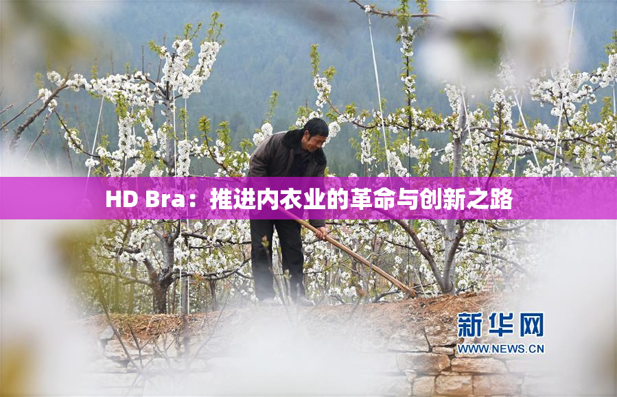 HD Bra：推进内衣业的革命与创新之路